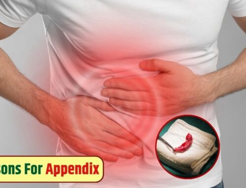 What are the Main Reasons For Appendix?