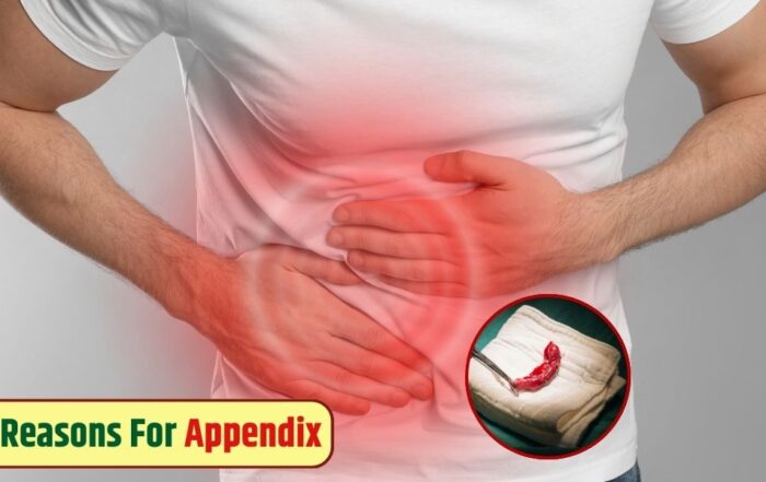 Appendix reasons